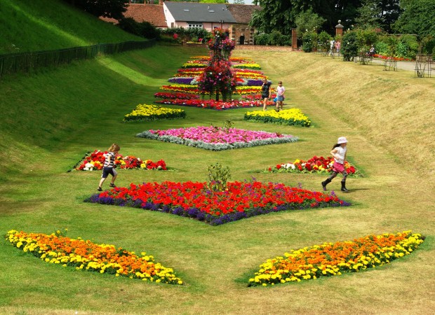 New flowerbeds in Colchester thanks to Pro-Grow