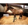 Safemix Equestrian Bedding Bales - 18kg