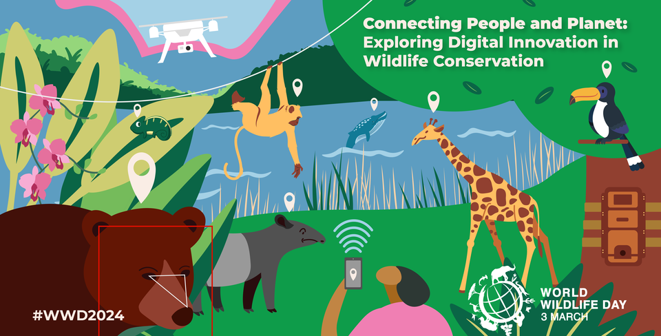 6-world-wildlife-day-2024-official-poster-contest-english-twitter