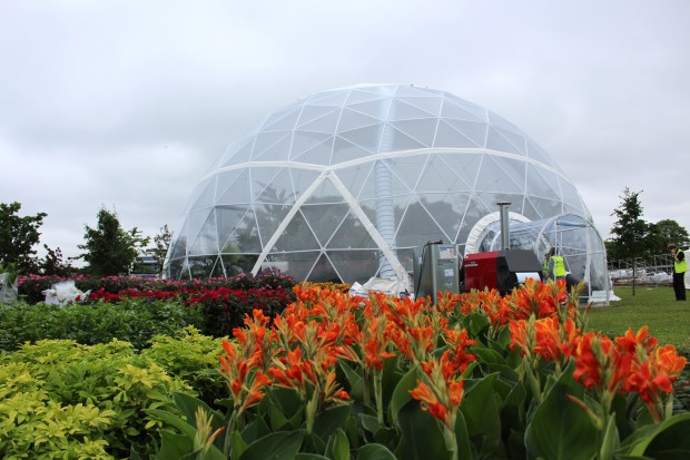 PRO-GROW is the official compost supplier for the Butterfly Dome at RHS Hampton Court Flower Show