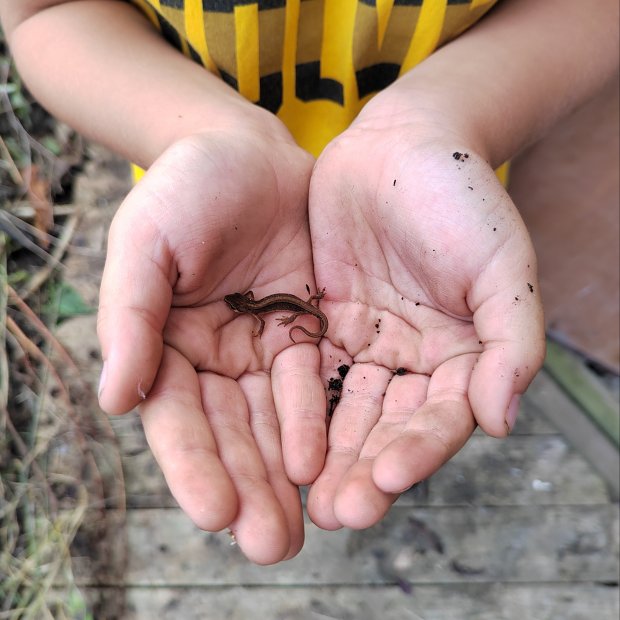 Soil Health Matters!