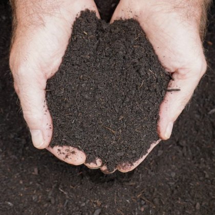 Lawn Conditioner with Sand