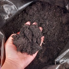 156 BAGS ONLINE OFFER - Pro-Grow Multi-Purpose Compost 10Ltr Small Bag