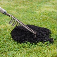 Pro-Grow Lawn Dressing Compost: Lawn Conditioner Compost 20Ltr Bag - Click & Collect