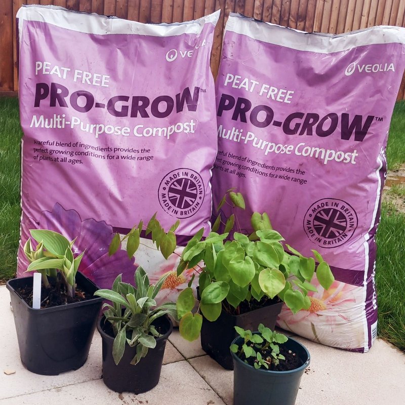 Compost online discount