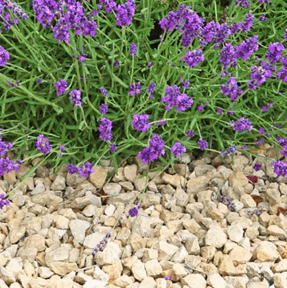 Pro-Grow Buff Limestone Chippings - Bulky Bag 700kg