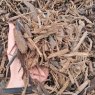 Pro-Grow Pro-Grow Eco-Mulch Mulch Bulk Bag - 1000L