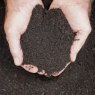 FULL PALLET DELIVERED - 47 x 20kg Lawn Dressing Compost